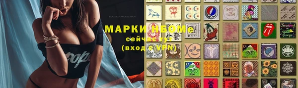 крисы Алексин