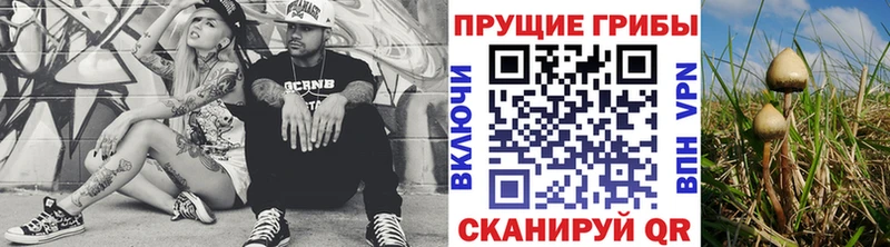 Галлюциногенные грибы Psilocybe  Аша 