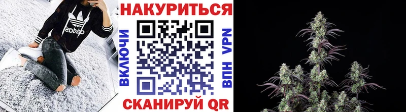 Шишки марихуана сатива  Аша 